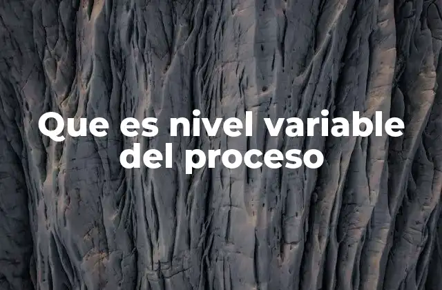 Que es Nivel Variable Del Proceso