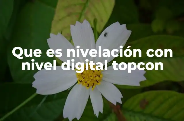 Que es Nivelación con Nivel Digital Topcon