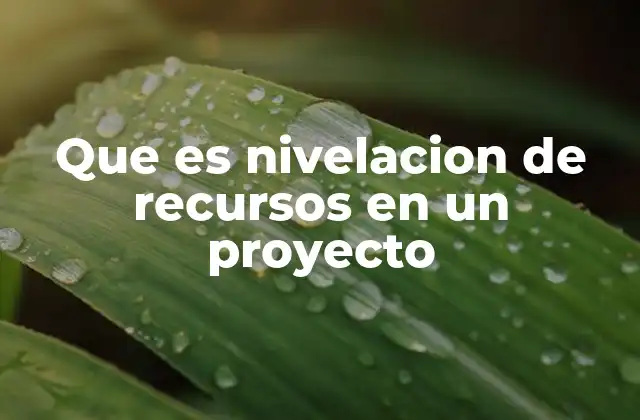 Que es Nivelacion de Recursos en un Proyecto