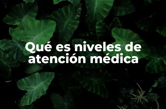 Qué es Niveles de Atención Médica