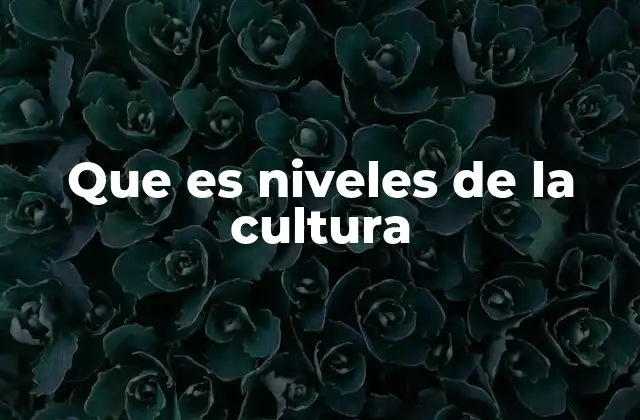 Que es Niveles de la Cultura
