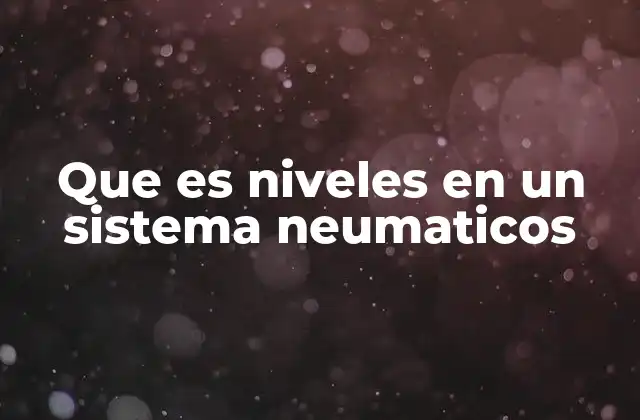 Que es Niveles en un Sistema Neumaticos