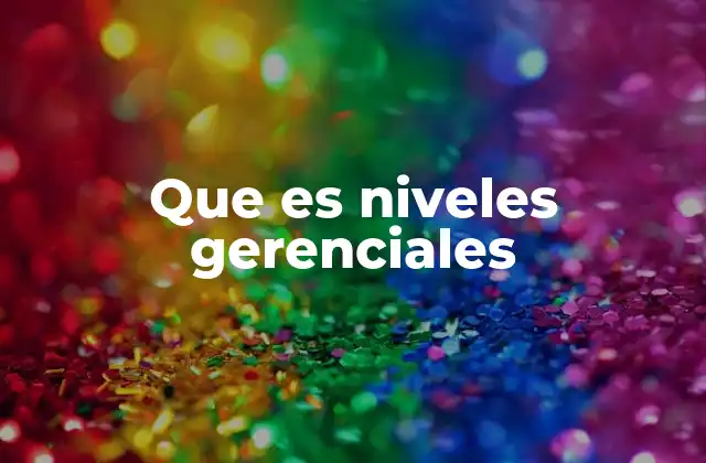 Que es Niveles Gerenciales