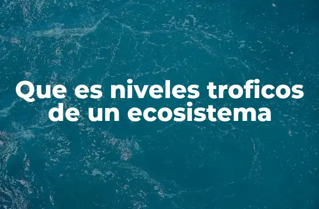 La estructura de la cadena alimentaria y los niveles tróficos