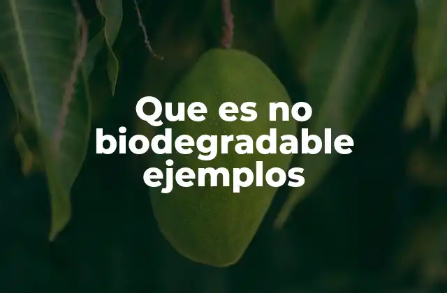 Que es No Biodegradable Ejemplos