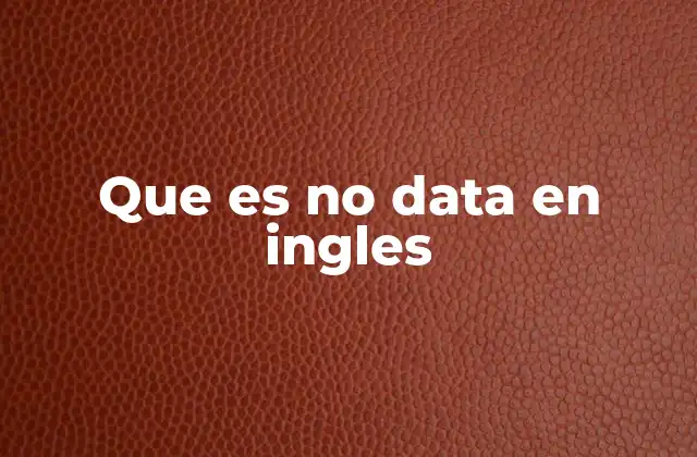 Que es No Data en Ingles