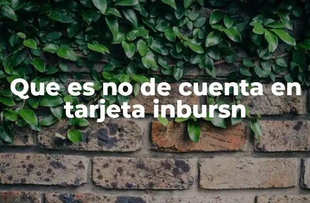 Que es No de Cuenta en Tarjeta Inbursn