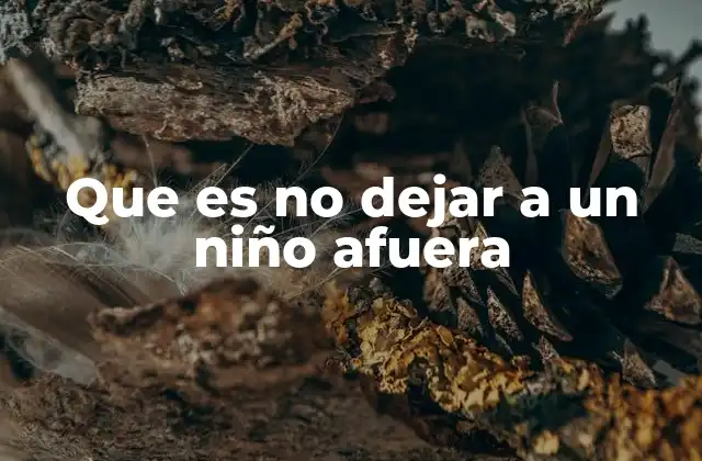 Que es No Dejar a un Niño Afuera