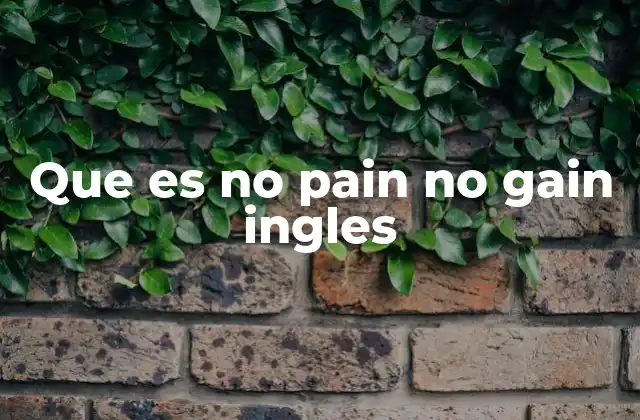 Que es No Pain No Gain Ingles