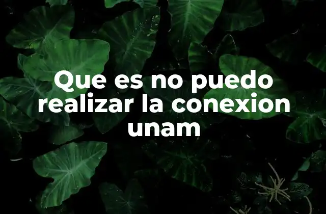 Que es No Puedo Realizar la Conexion Unam