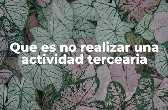 La decisión de no enfocarse en el sector servicios
