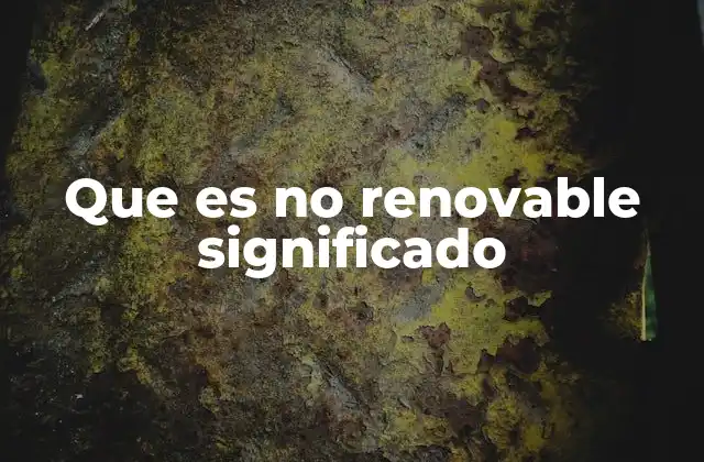 Que es No Renovable Significado