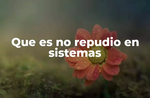 Que es No Repudio en Sistemas