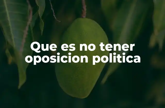 Que es No Tener Oposicion Politica