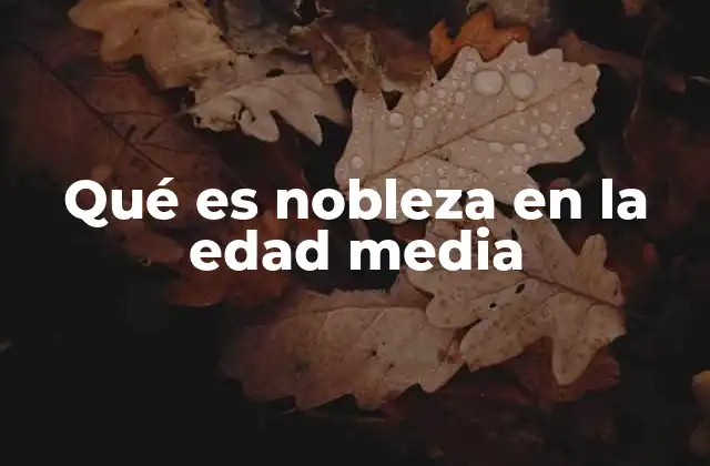 Qué es Nobleza en la Edad Media