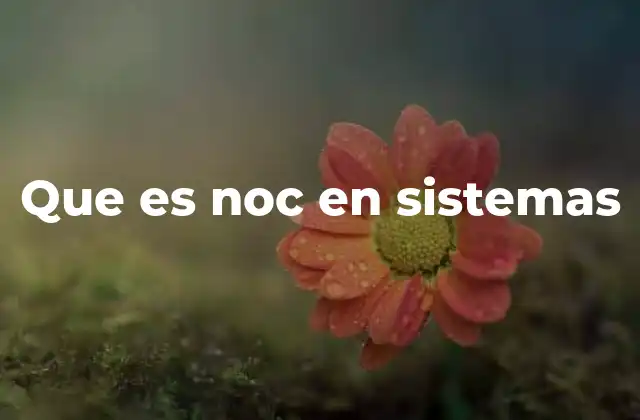 Que es Noc en Sistemas