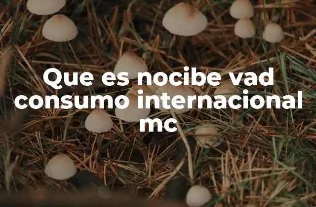 Impactos del consumo en el comercio global