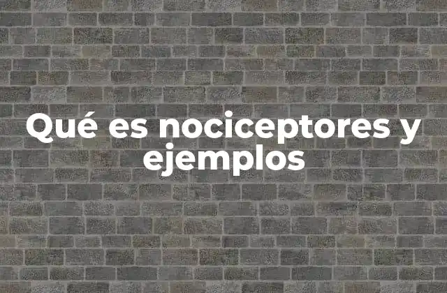 Qué es Nociceptores y Ejemplos