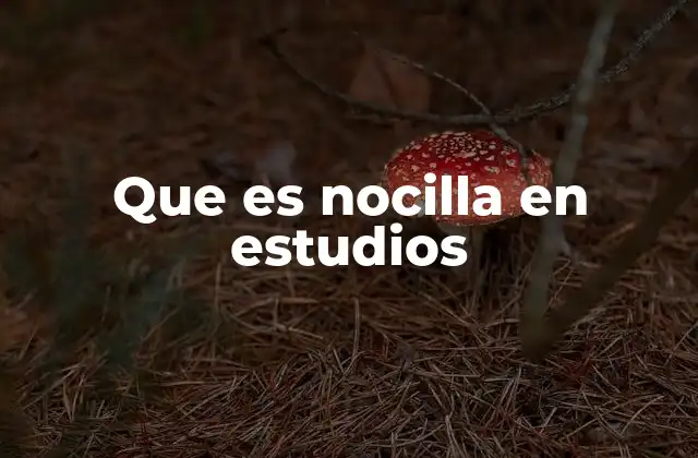 Que es Nocilla en Estudios
