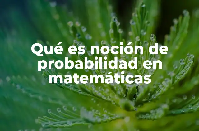 Qué es Noción de Probabilidad en Matemáticas