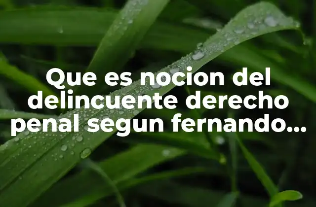 Que es Nocion Del Delincuente Derecho Penal Segun Fernando Castellarpeña