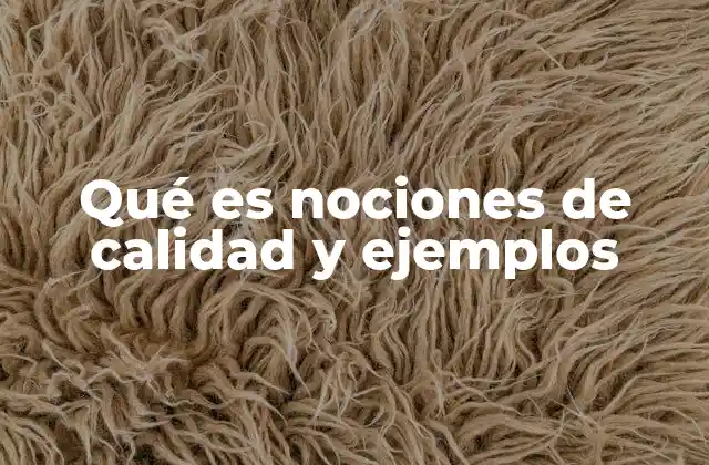 Qué es Nociones de Calidad y Ejemplos
