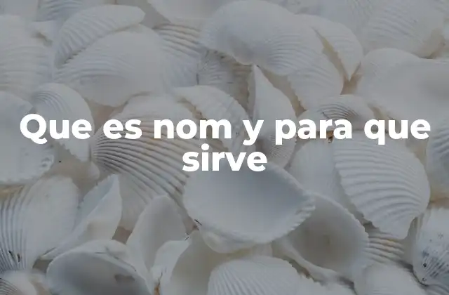 Que es Nom y para que Sirve 2 La importancia de las normas en la regulación de bienes y servicios