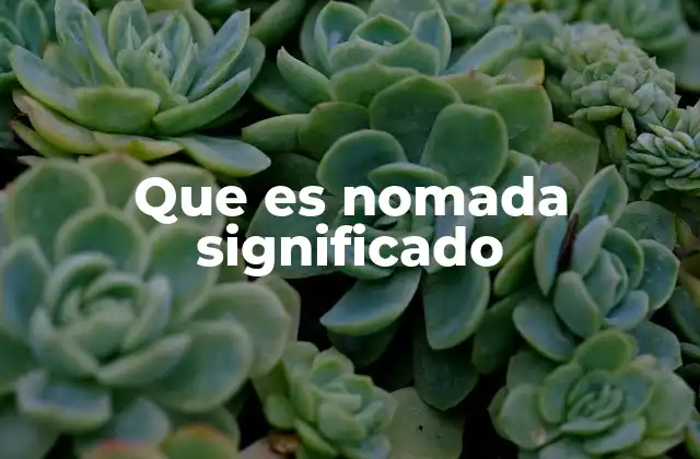 Que es Nomada Significado