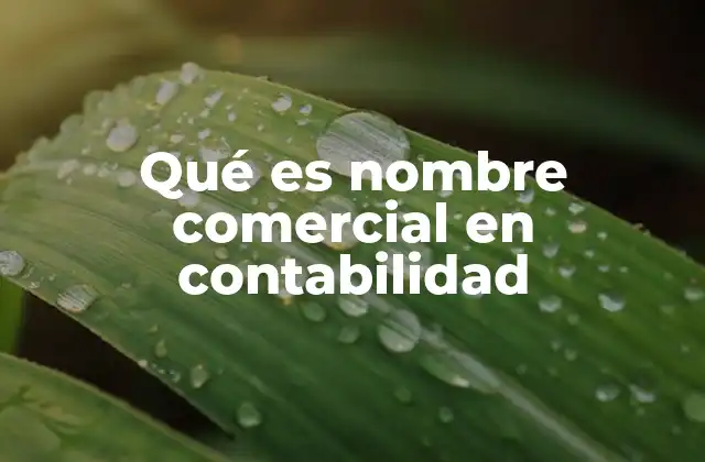 El papel del nombre comercial en la identidad empresarial