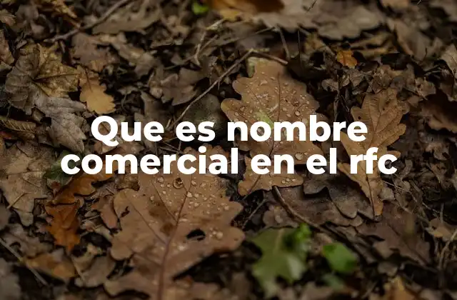 Que es Nombre Comercial en el Rfc