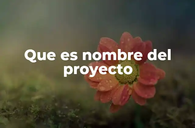 Que es Nombre Del Proyecto