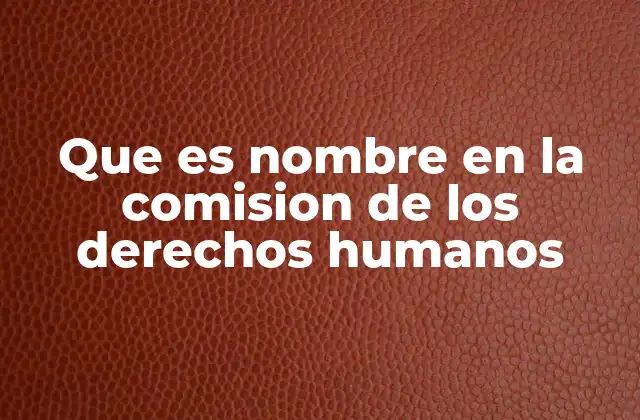 Que es Nombre en la Comision de los Derechos Humanos
