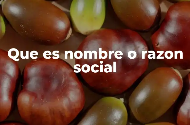 Que es Nombre o Razon Social
