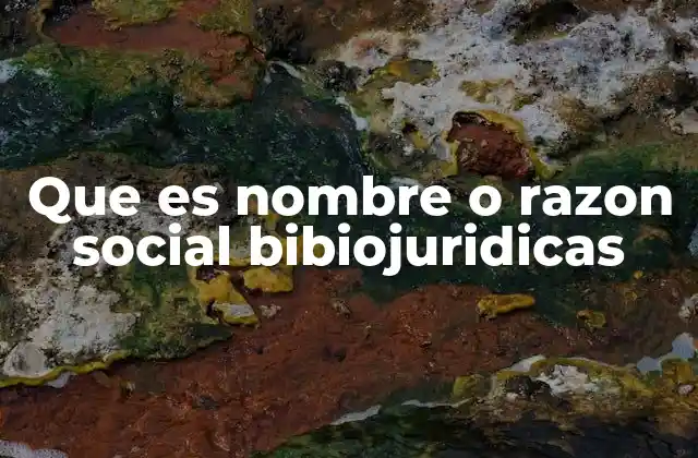 La importancia del nombre o razón social en el contexto biobiojurídico