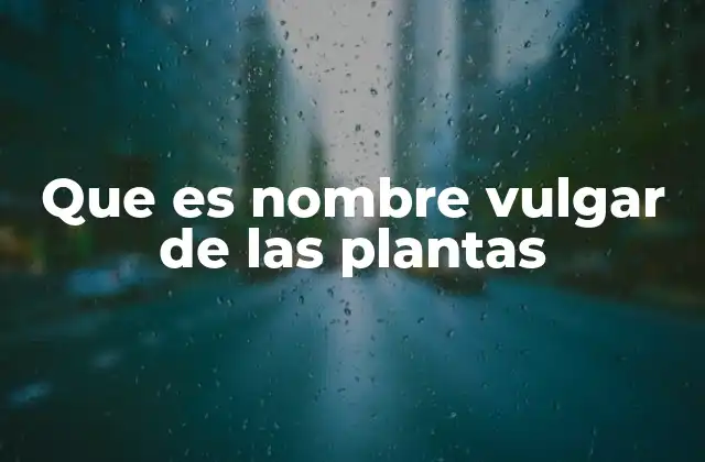 Que es Nombre Vulgar de las Plantas