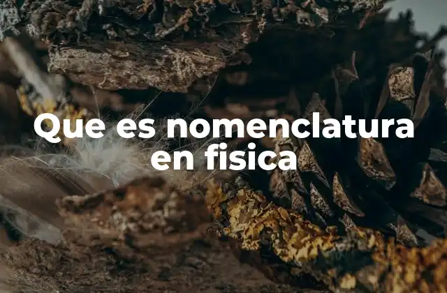 Que es Nomenclatura en Fisica