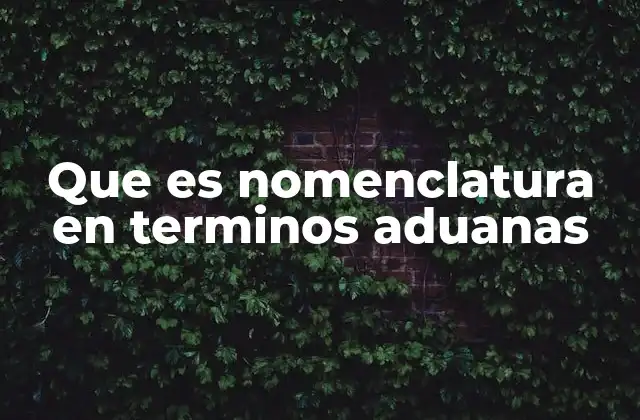 Que es Nomenclatura en Terminos Aduanas