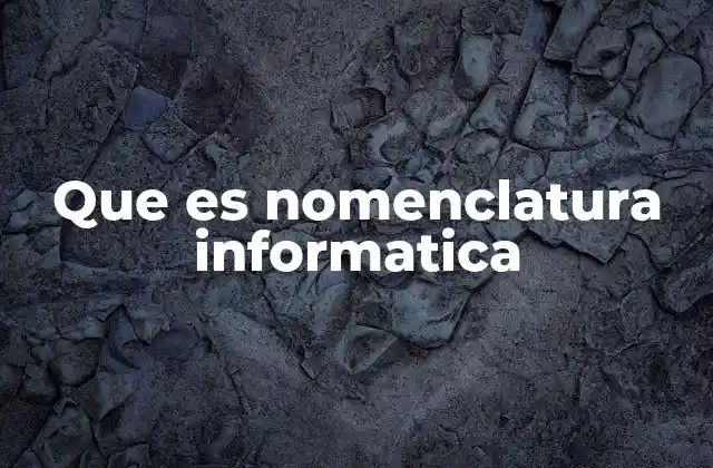 Que es Nomenclatura Informatica