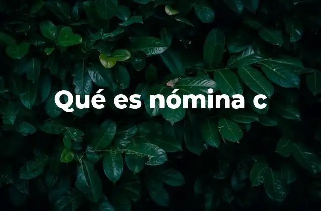 Qué es Nómina C