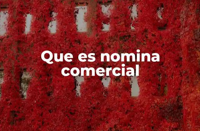 Que es Nomina Comercial