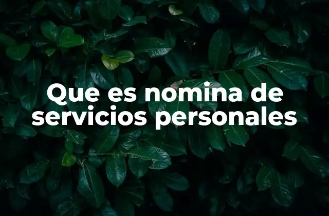 Que es Nomina de Servicios Personales