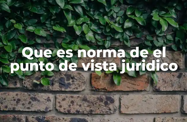 Que es Norma de el Punto de Vista Juridico