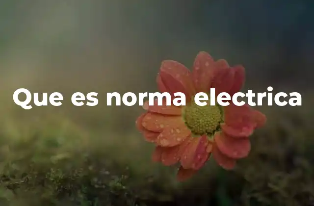 Que es Norma Electrica