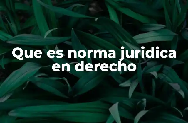 Que es Norma Juridica en Derecho