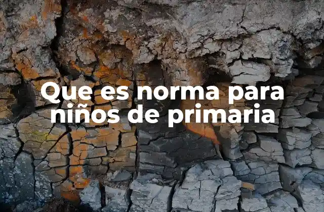 Que es Norma para Niños de Primaria