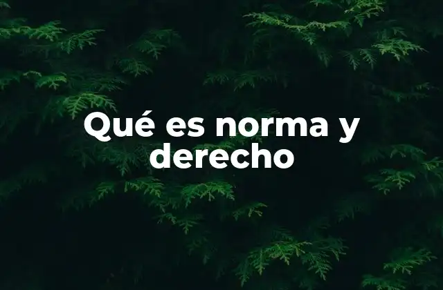 Qué es Norma y Derecho