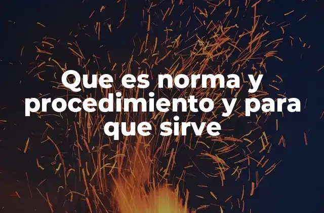 Que es Norma y Procedimiento y para que Sirve