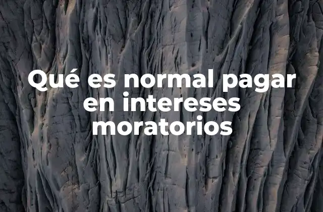 Qué es Normal Pagar en Intereses Moratorios