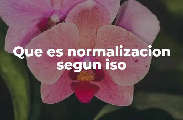 Que es Normalizacion Segun Iso