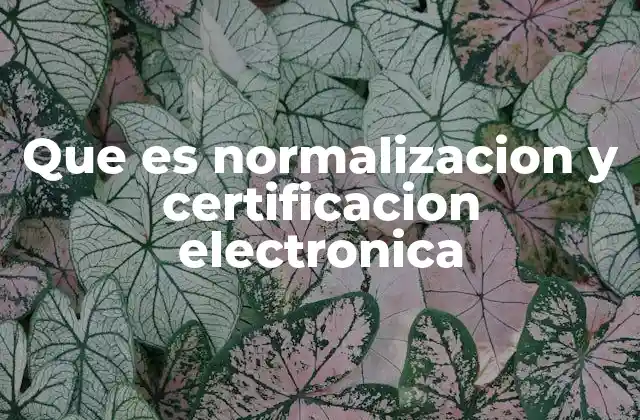 Que es Normalizacion y Certificacion Electronica